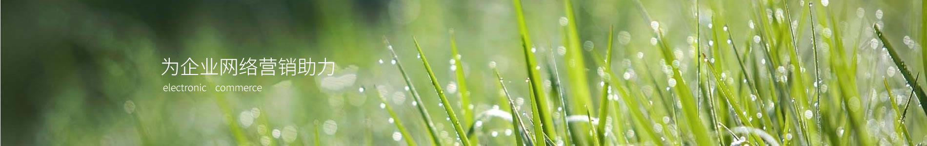 вܿƼ޹˾
